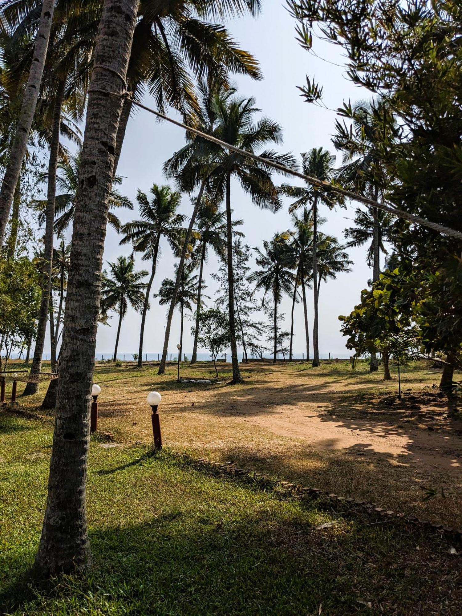 Baycliff Cottages Varkala Zewnętrze zdjęcie