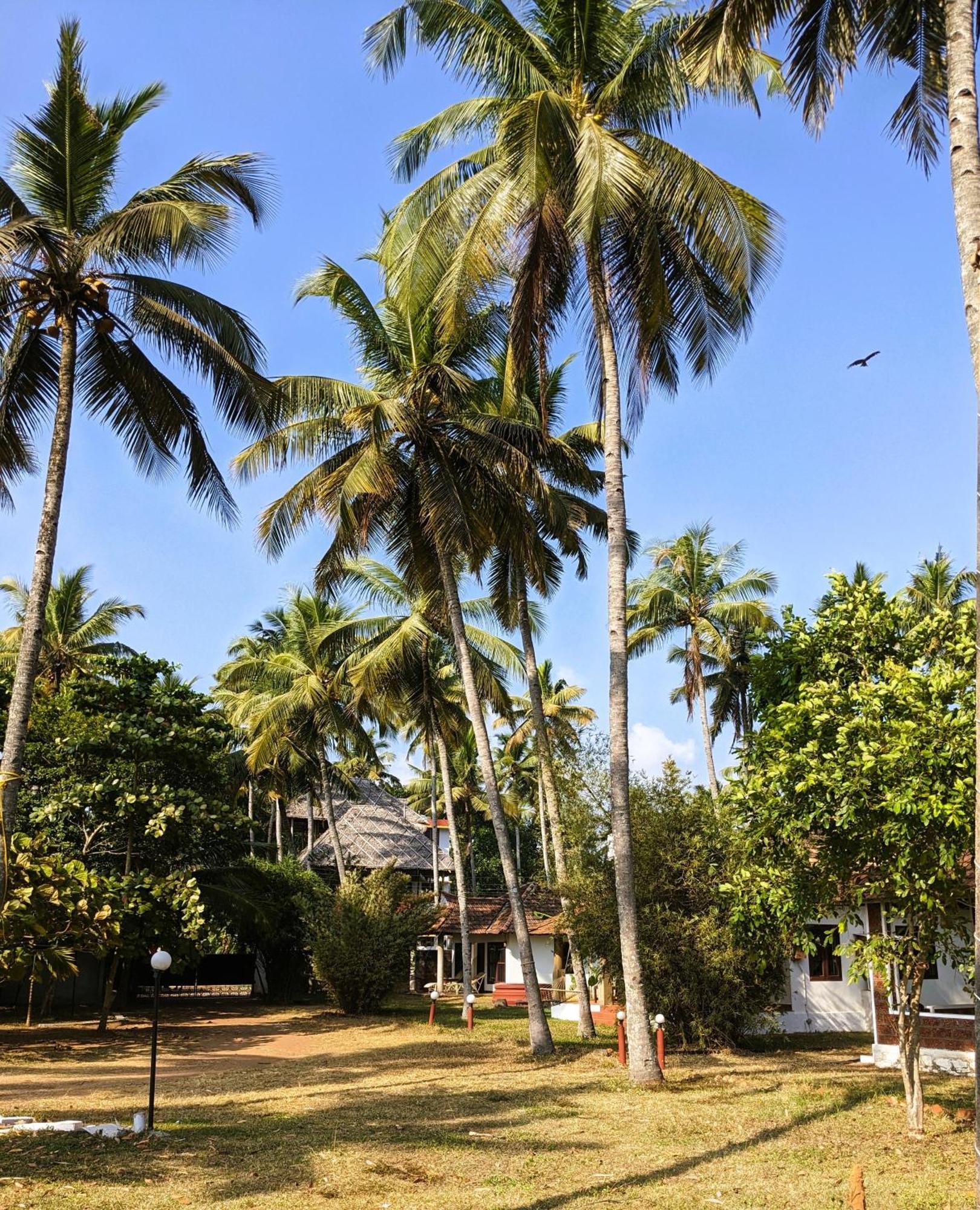 Baycliff Cottages Varkala Zewnętrze zdjęcie